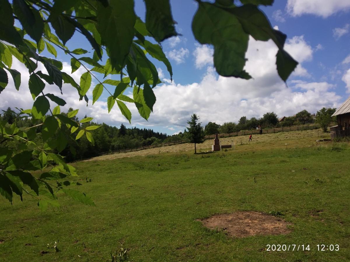Cabana Belis Dealu Negru Buitenkant foto