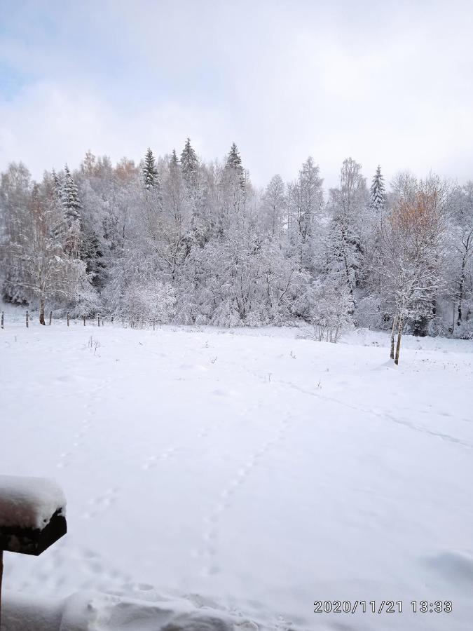 Cabana Belis Dealu Negru Buitenkant foto