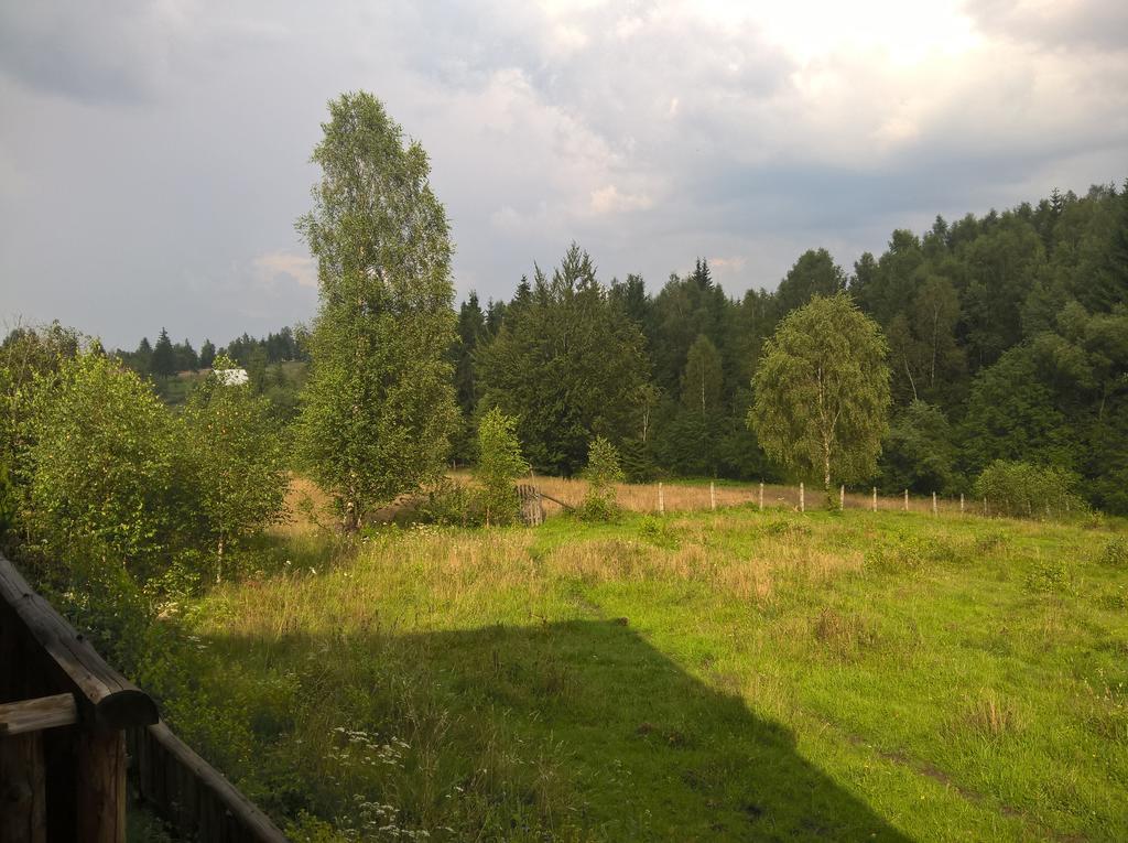 Cabana Belis Dealu Negru Buitenkant foto