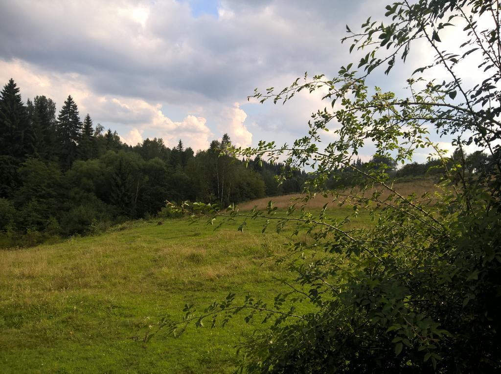 Cabana Belis Dealu Negru Buitenkant foto