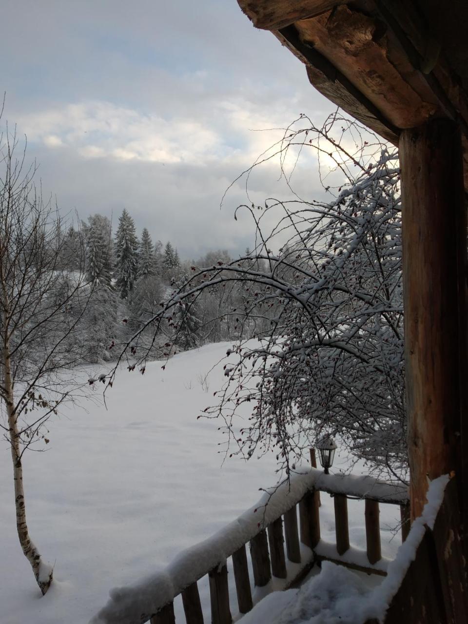 Cabana Belis Dealu Negru Buitenkant foto
