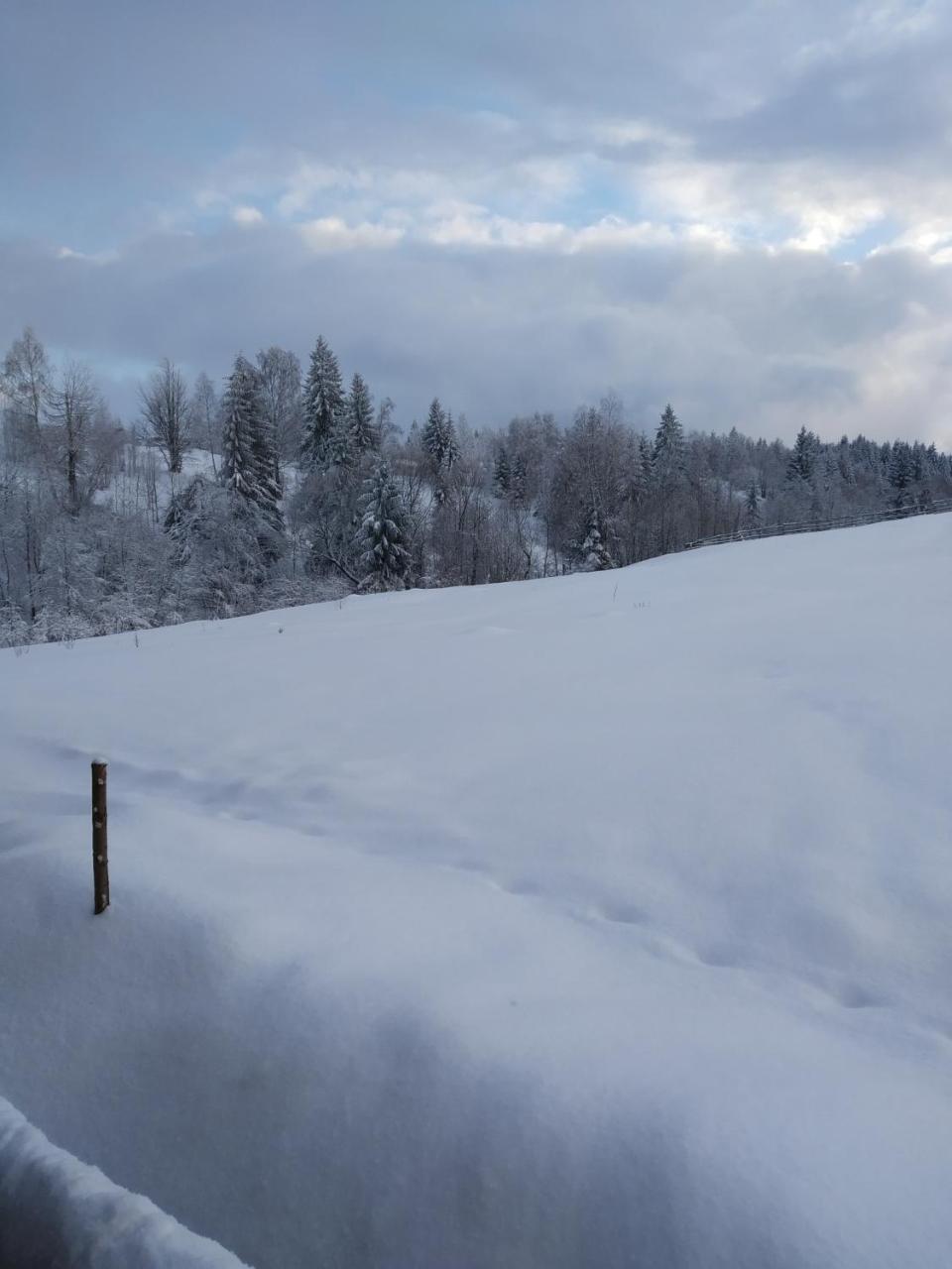 Cabana Belis Dealu Negru Buitenkant foto